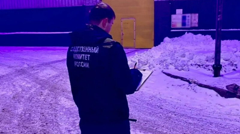 Двух казахстанцев нашли мертвыми на металлургическом комбинате в Череповце