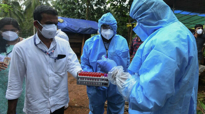 ВОЗ предупредила о риске распространения вируса Нипах со смертностью до 75%