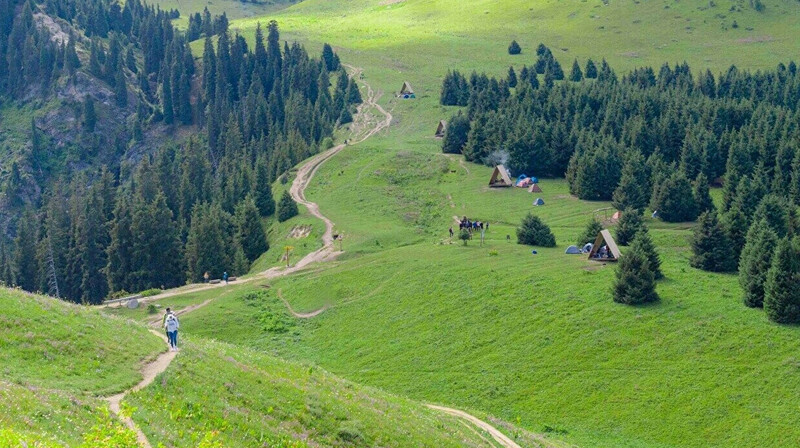 В горах Алматы вырубят 2,2 тысячи деревьев ради дороги к "Кокжайлау"