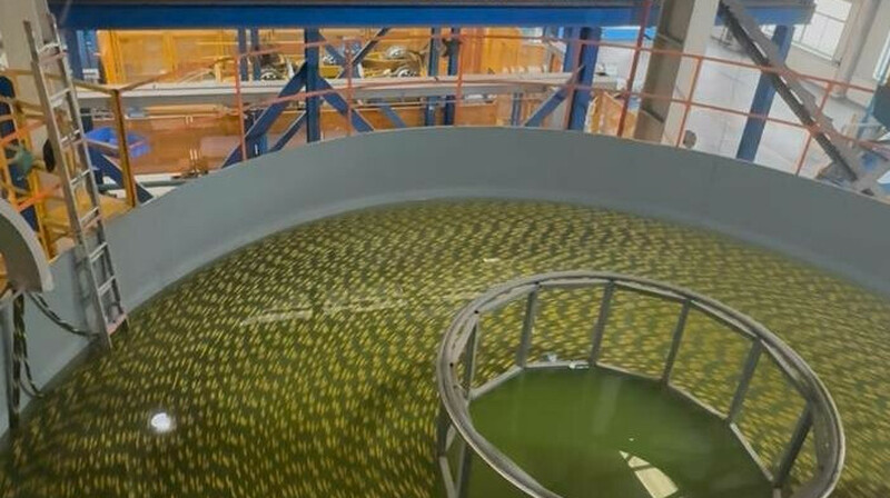 Подводный интернет-кабель через Каспий укрепит связь Азии и Европы