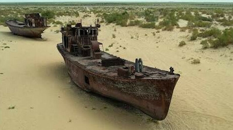 Казахстан превращает высохшее дно Аральского моря в сельскохозяйственные угодья: что из этого выйдет