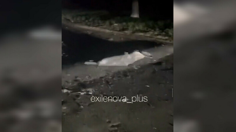 В Воронежской области атакован завод "Минудобрения"