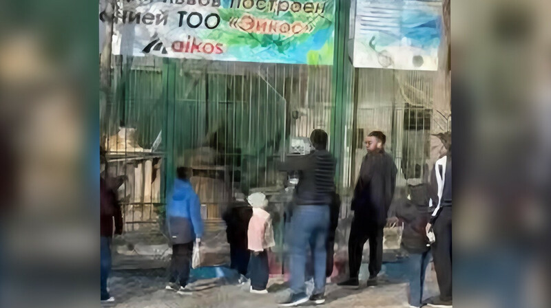 В Семее задержали мужчин, забросавших камнями львов в детском биоцентре