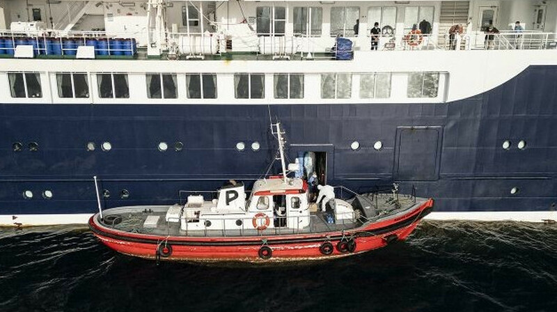 ВОЗ: на лайнере MV Hondius выявили 9 случаев хантавируса "Андес"