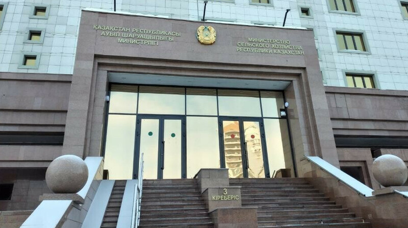 Курс на импортозамещение: госзакупки продовольствия в Казахстане могут переориентировать на местных производителей